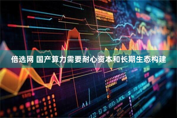 倍选网 国产算力需要耐心资本和长期生态构建